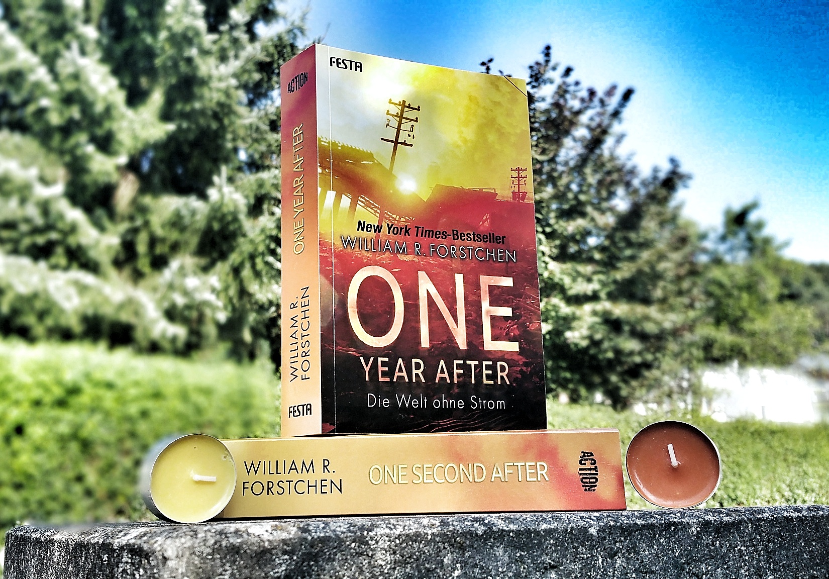 one year after by william r forstchen