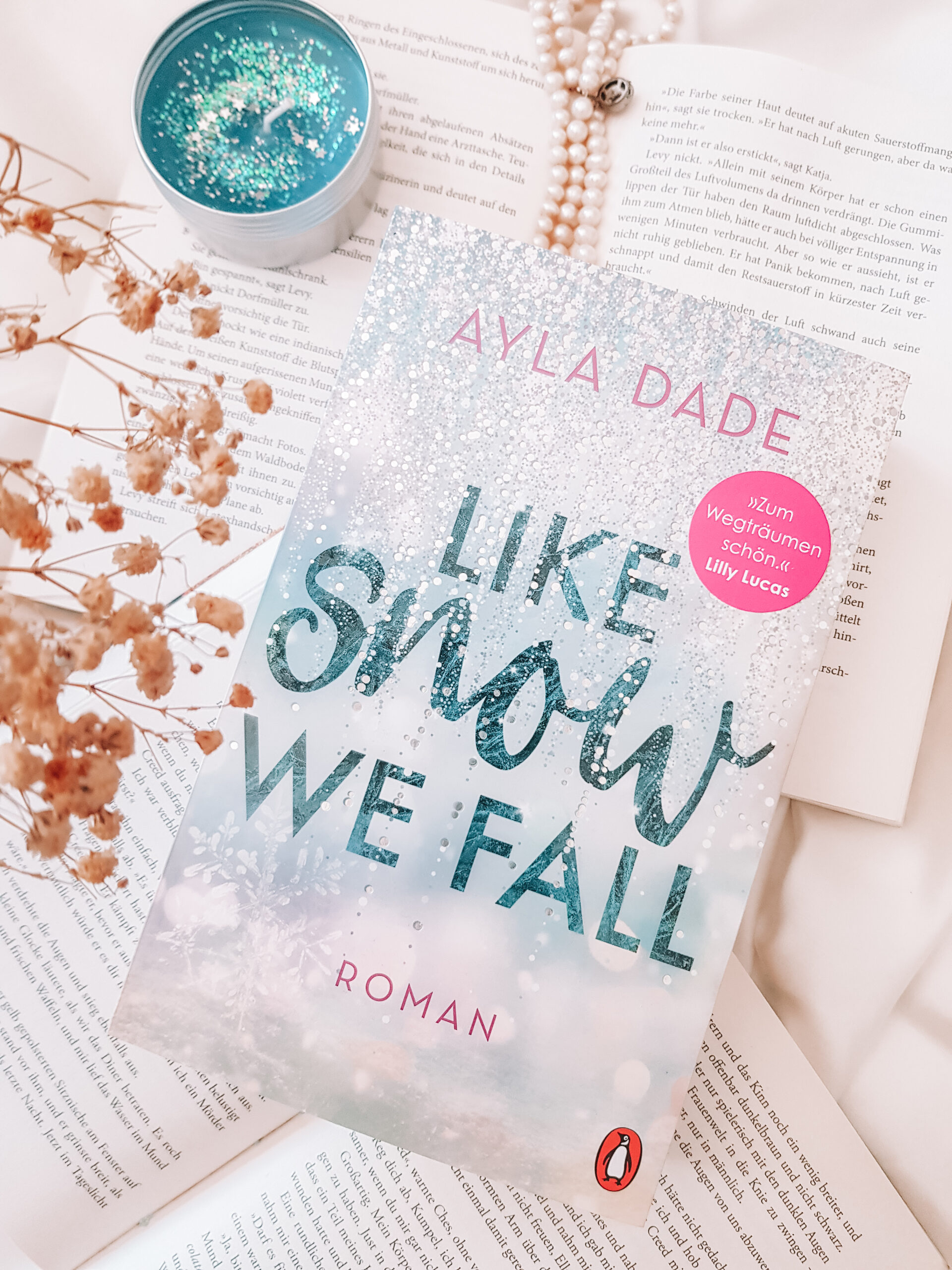 Ayla Dade - Like Snow we fall (Die Winter-Dreams-Reihe, Band 1 ...
